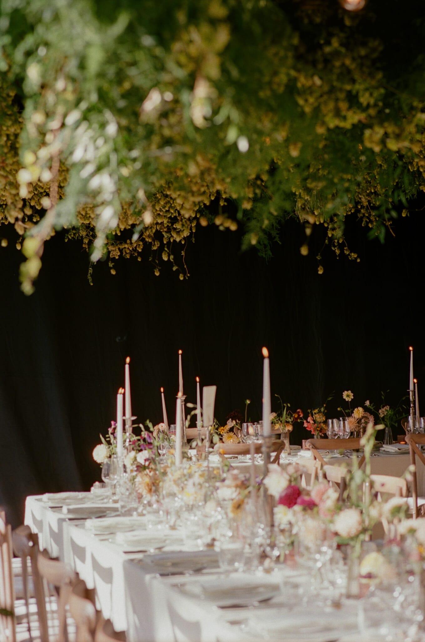 Fenella_Simon_35mm_101.jpg?w=679&h=1024&scale