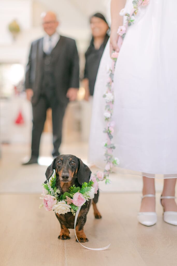 Leonora_Mark_Wedding_Hambleden_Valley_Chloe_Winstanley_Photography_131-scaled.jpg?w=683&h=1024&scale Leonora_Mark_Wedding_Hambleden_Valley_Chloe_Winstanley_Photography_131-scaled.jpg?w=683&h=1024&scale