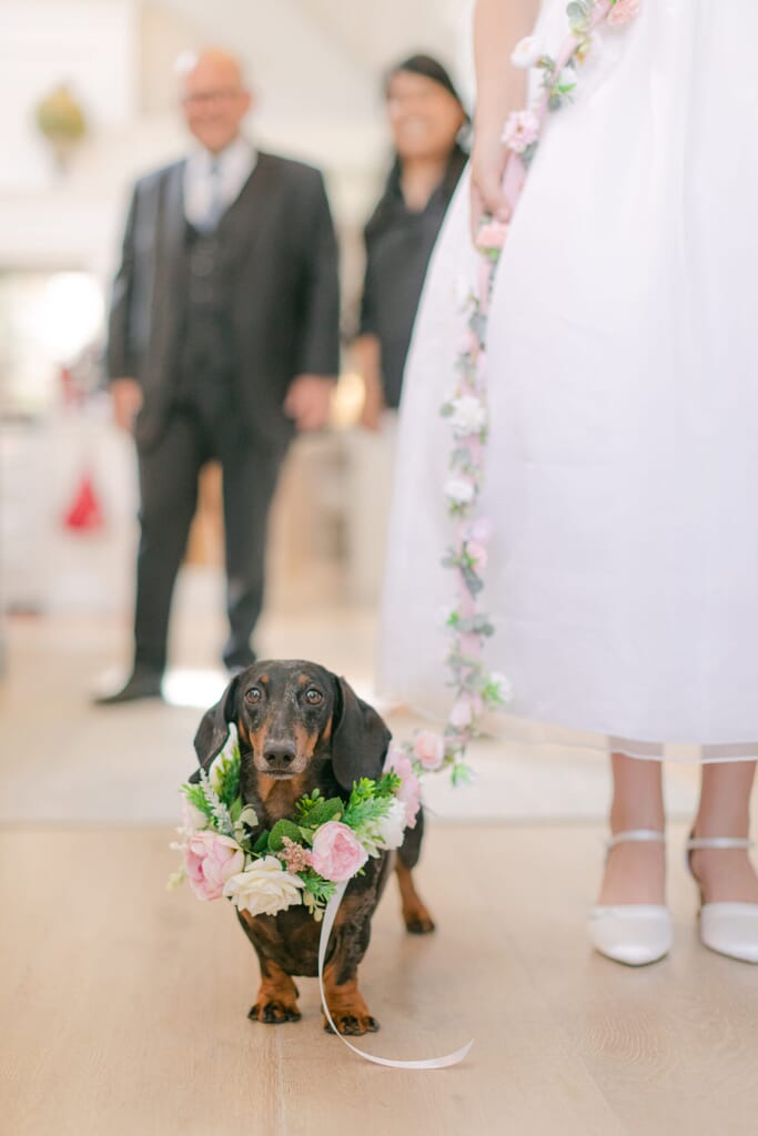 Leonora_Mark_Wedding_Hambleden_Valley_Chloe_Winstanley_Photography_131-scaled.jpg?w=683&h=1024&scale