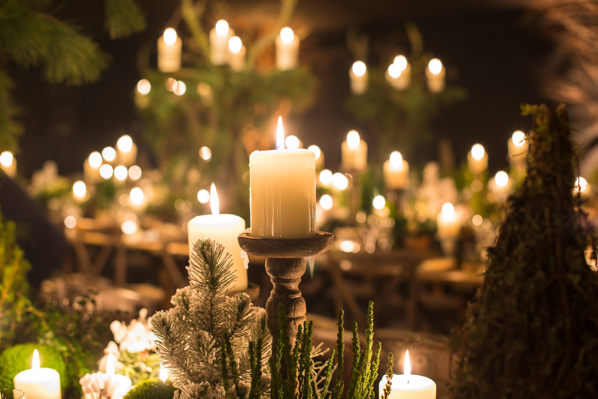 OT18-1582.jpg?w=500&h=334&scale