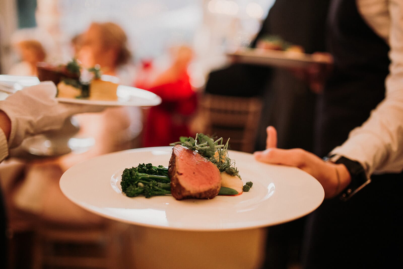 0984IMG_7444.jpg?w=1024&h=683&scale