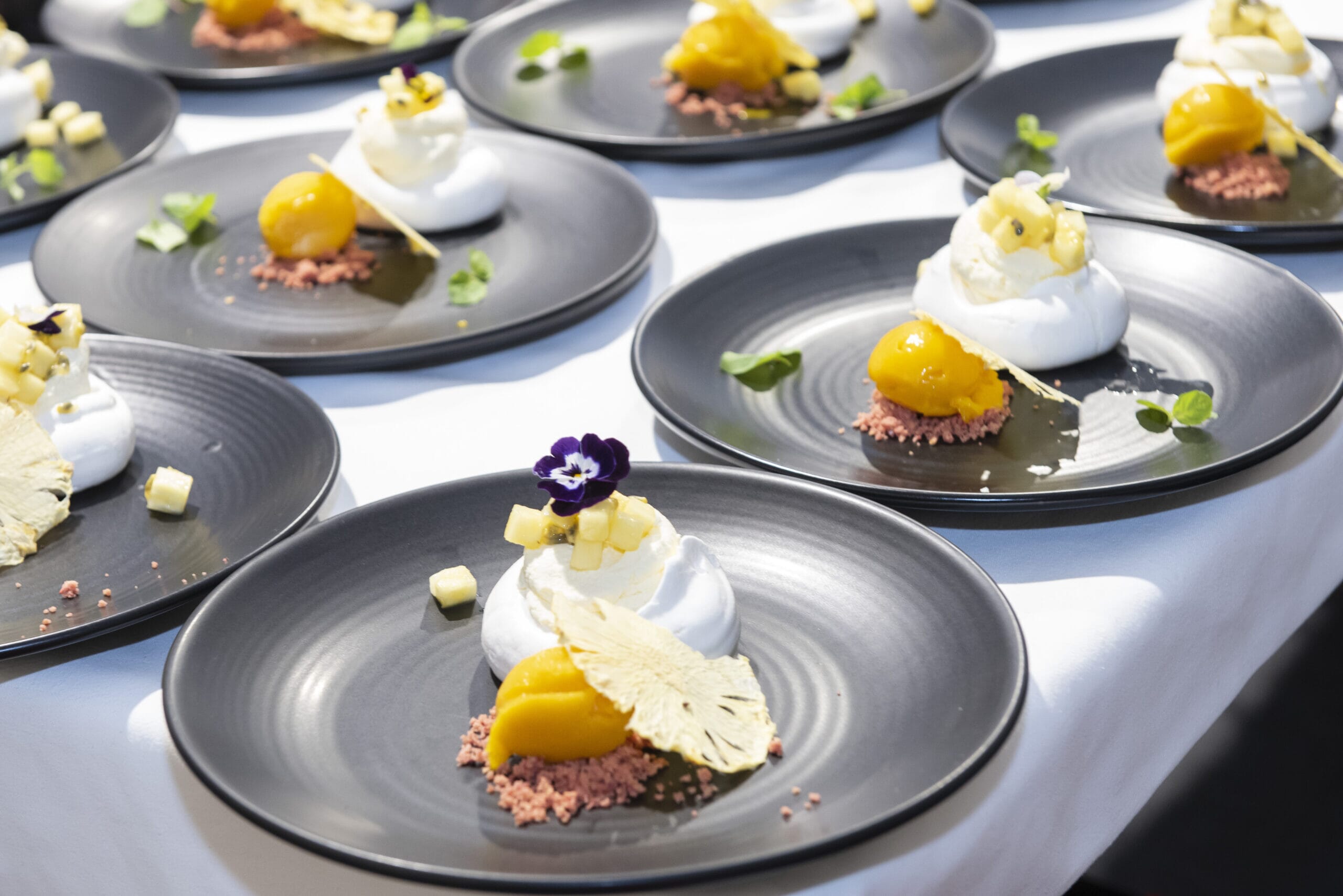 Lucy_412-scaled.jpg?w=500&h=334&scale