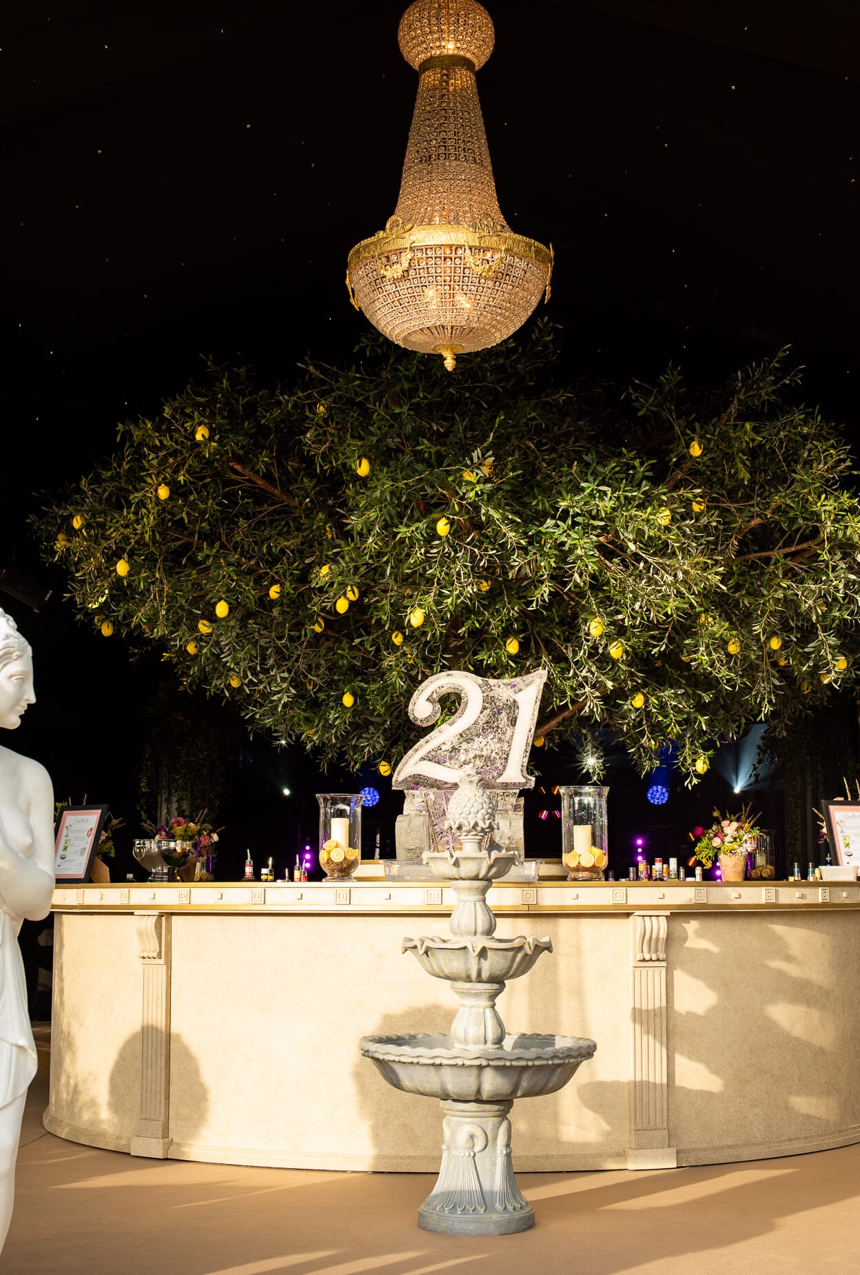 AT624-1158.jpg?w=691&h=1024&scale