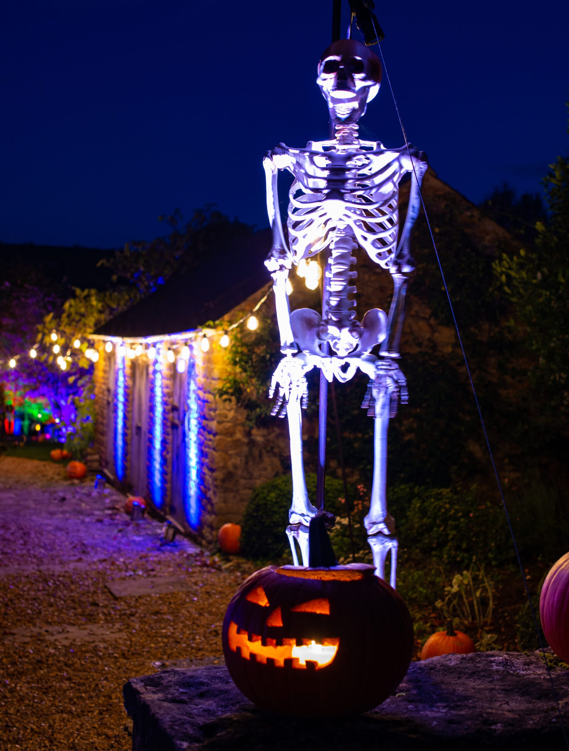 HP21-424-scaled.jpg?w=776&h=1024&scale