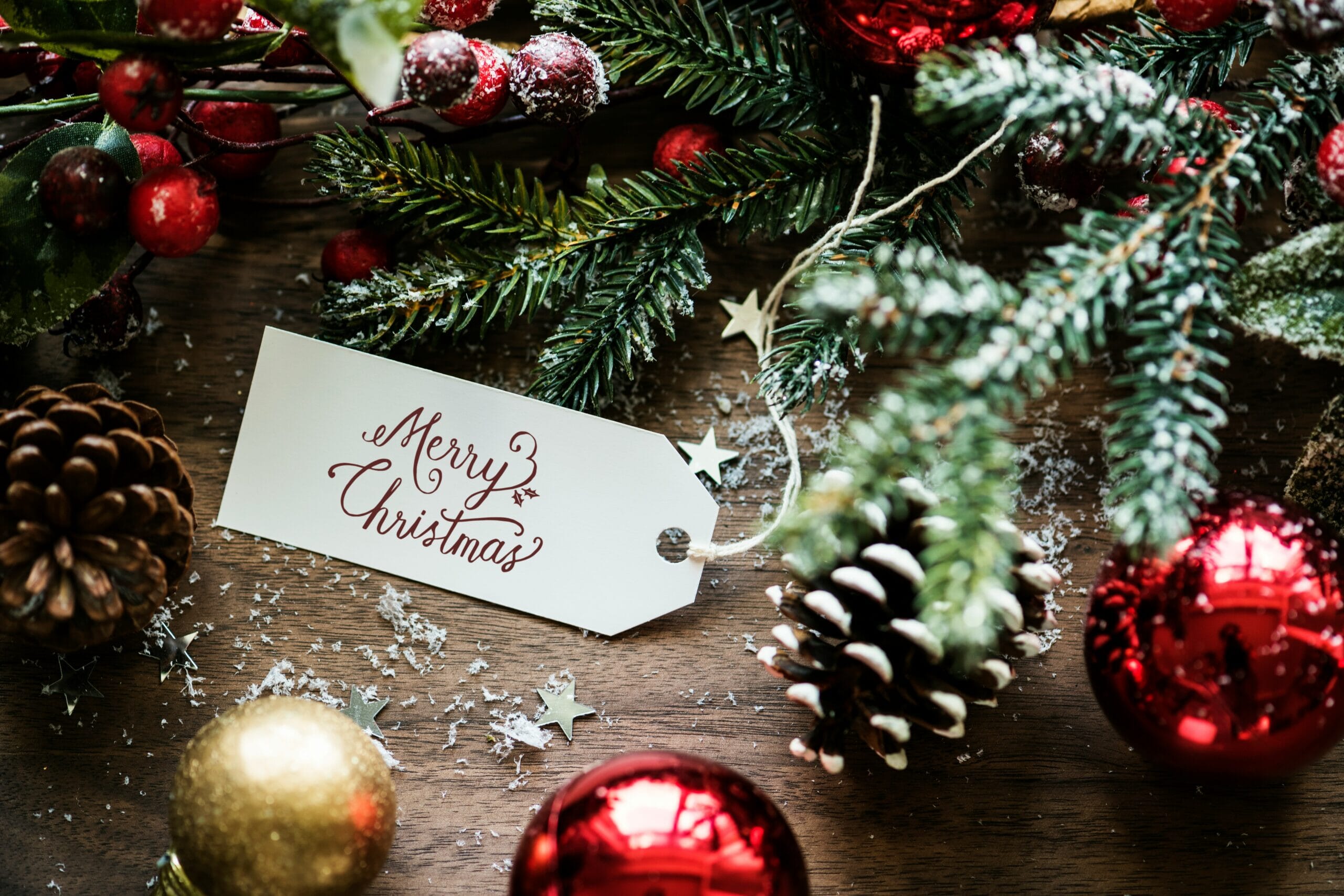 curated-lifestyle-J0yRvdFAWuY-unsplash-scaled.jpg?w=500&h=334&scale