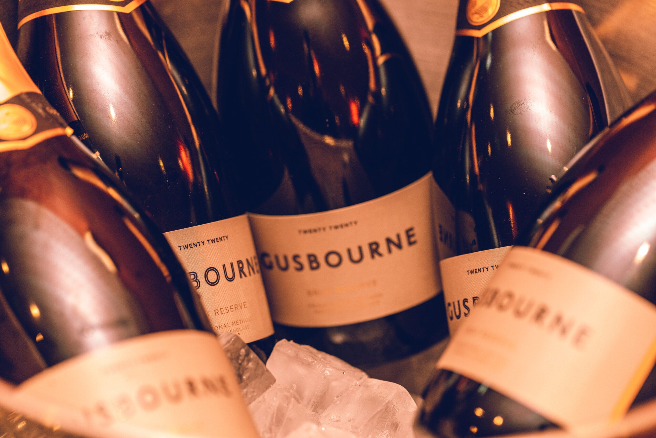 1U8A3342-scaled.jpg?w=1024&h=683&scale