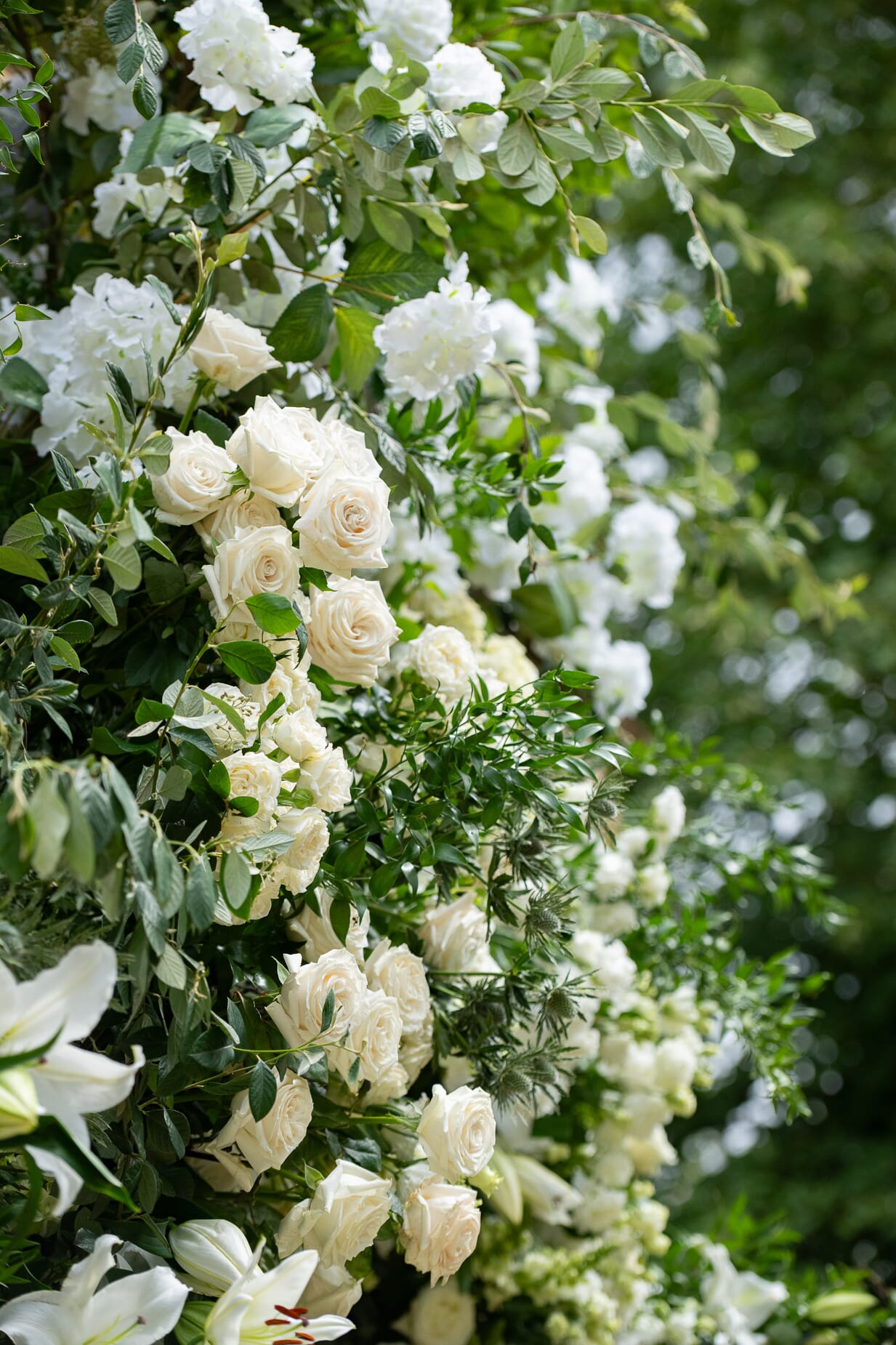 JL725-1418.jpg?w=682&h=1024&scale