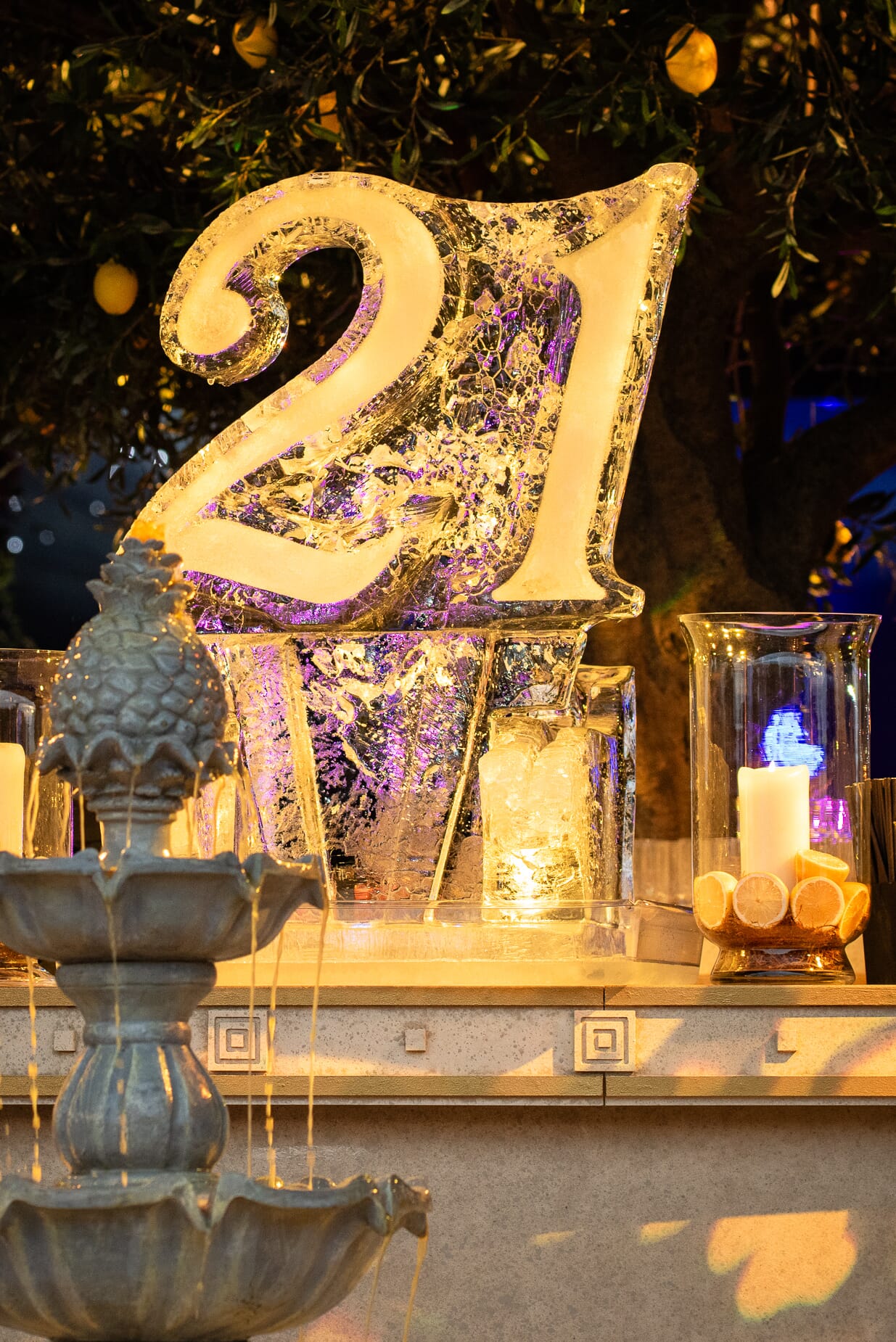 AT624-1284.jpg?w=684&h=1024&scale