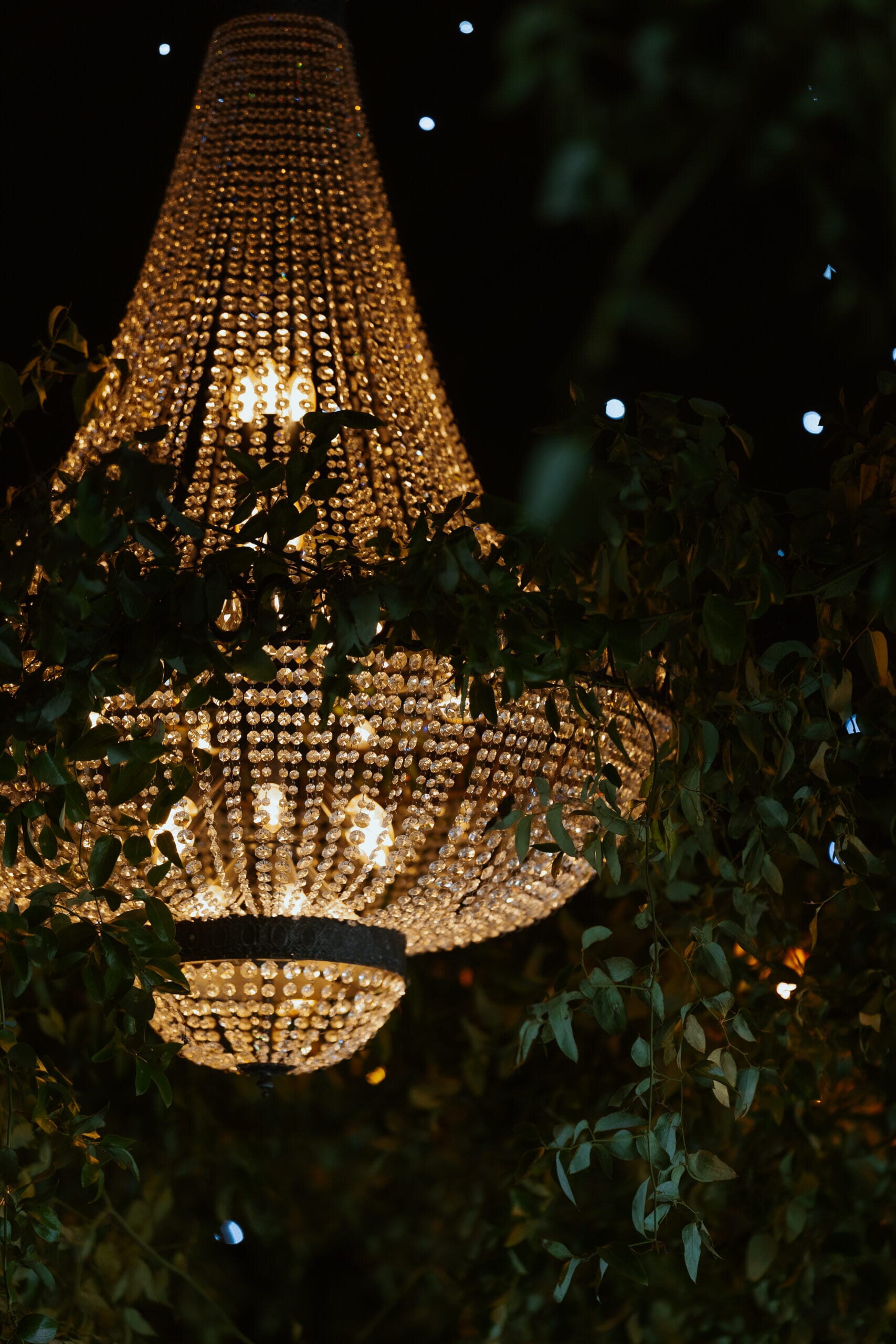 Worcestershire-Wedding-Photography-26072025-AI-1181b-scaled.jpg?w=683&h=1024&scale