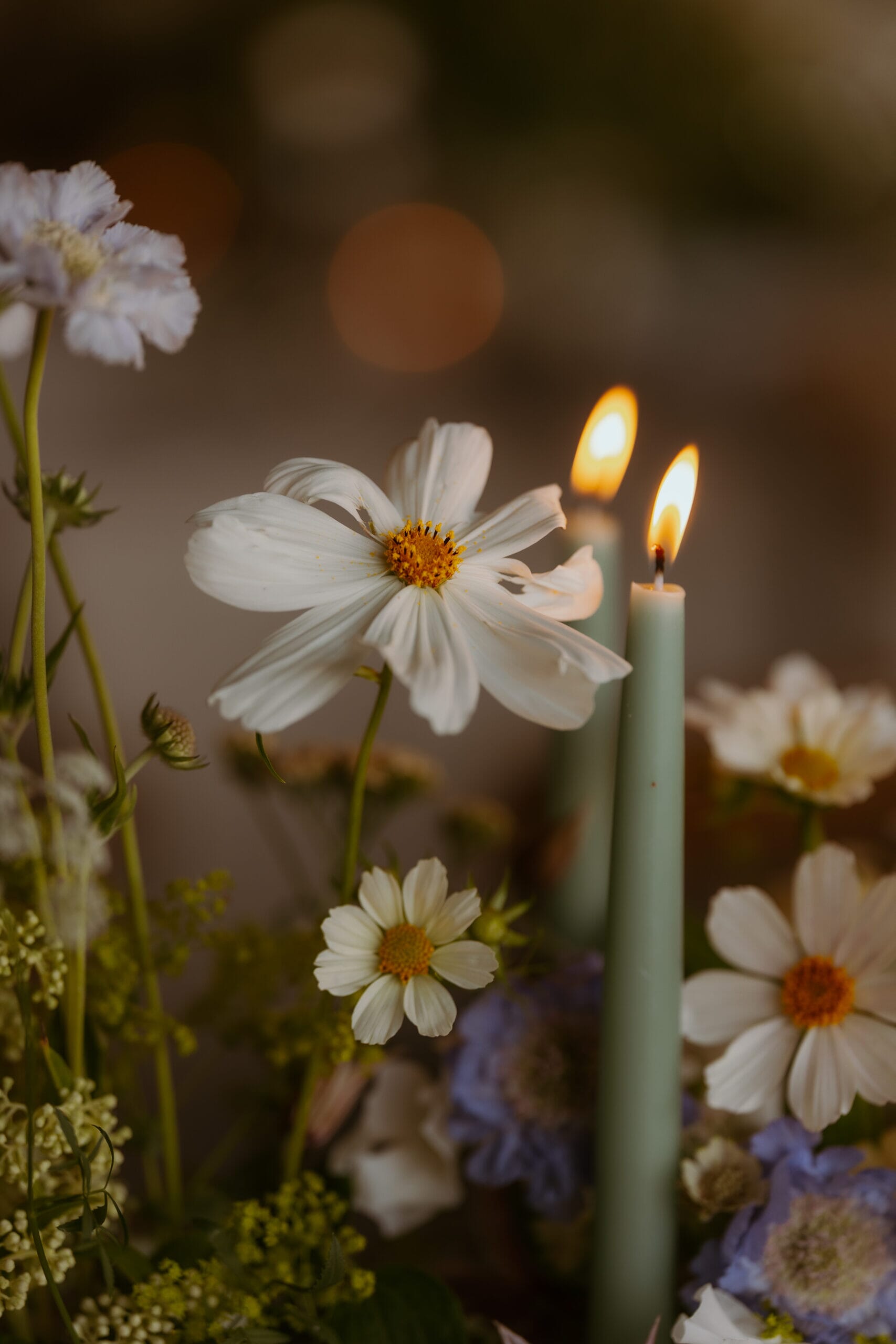 Worcestershire-Wedding-Photography-26072025-AI-1214b-scaled.jpg?w=683&h=1024&scale