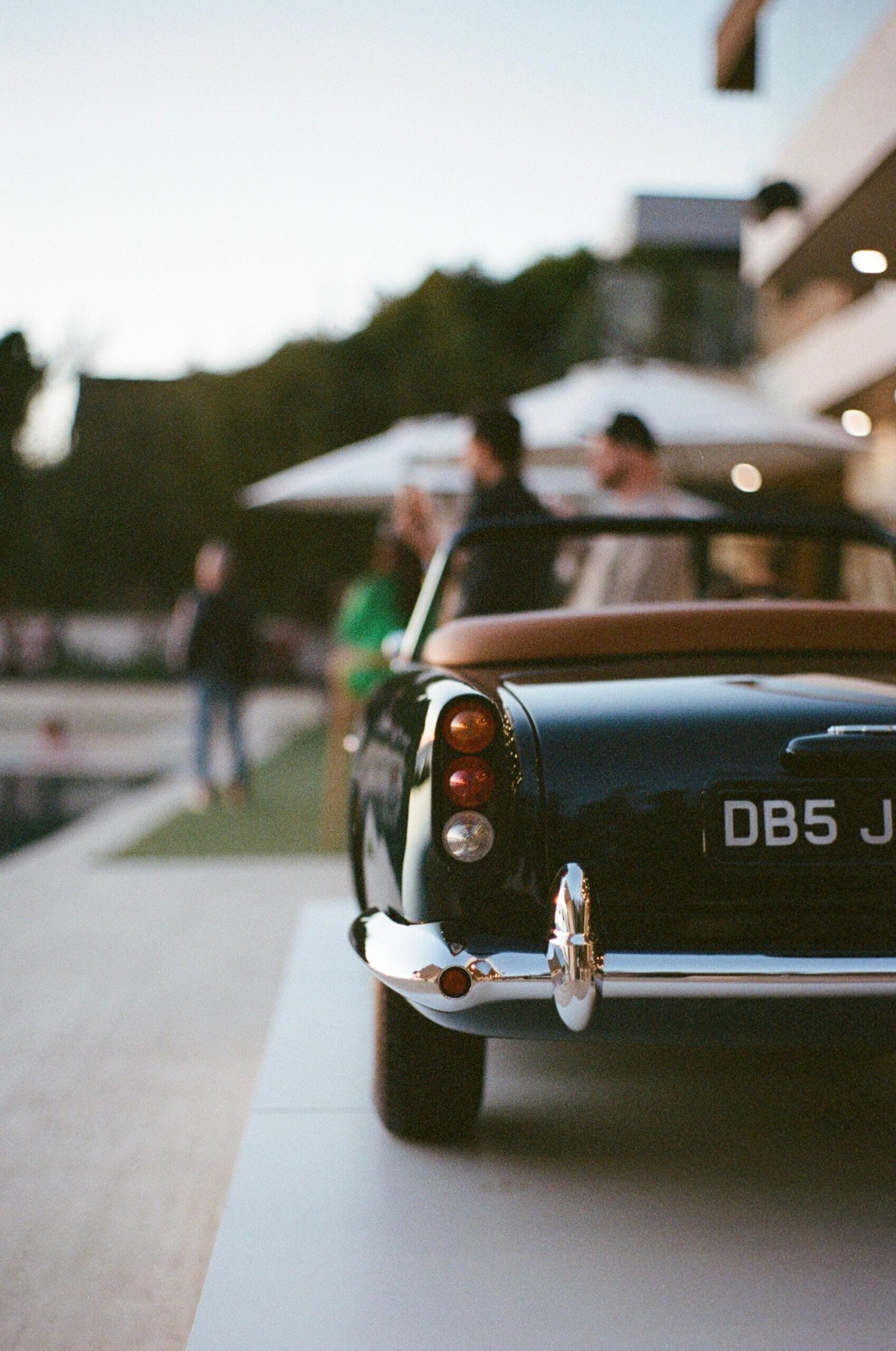 PHOTO-2026-03-11-15-38-41-scaled.jpg?w=679&h=1024&scale